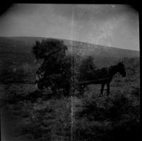 An image from the Dartmoor Trust Archive