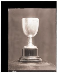 Trophy cup