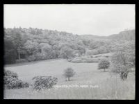 Endsleigh: gardens, Milton Abbot