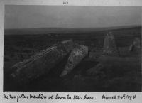 Two fallen menhirs at Down Tor stone row