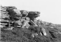 An image from the Dartmoor Trust Archive