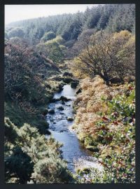 An image from the Dartmoor Trust Archive