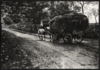 Cart laden with Hay