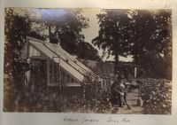 Kitchen garden