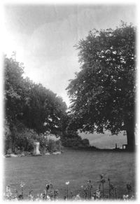 A Lustleigh garden in full bloom