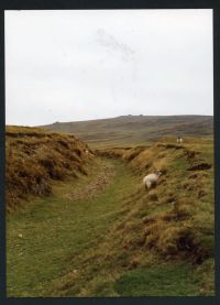 An image from the Dartmoor Trust Archive