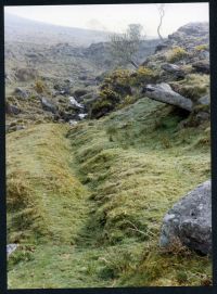 An image from the Dartmoor Trust Archive