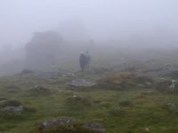 Dartmoor Fog