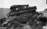 An image from the Dartmoor Trust Archive