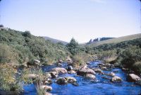 East Dart river at Laughter Hole