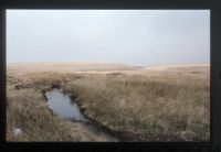 Approaching Fishlake - River Avon