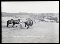 Westward Ho! Beach + slipway, Northam