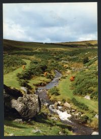 An image from the Dartmoor Trust Archive