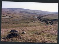 An image from the Dartmoor Trust Archive