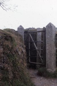 An image from the Dartmoor Trust Archive