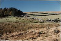 Teignhead Farm