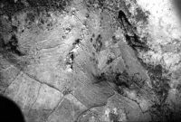 Aerial View Over Houndtor Showing Evidence of The Medieval Village