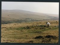 An image from the Dartmoor Trust Archive