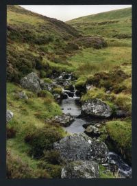 An image from the Dartmoor Trust Archive