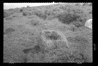 Stone trough