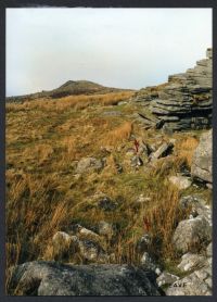 An image from the Dartmoor Trust Archive