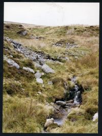 An image from the Dartmoor Trust Archive