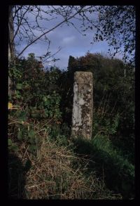 Ladywell Cross