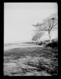 Common Land at Plaster Down