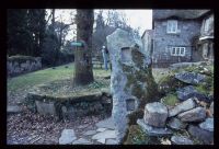 Cross tree planted for the royal silver jubilee in May 1935 at Buckland-in-the-Moor