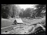 Endsleigh: Hatchery, Milton Abbot