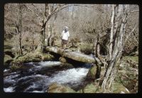 Wallabrook Clapper Bridge