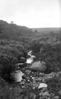 An image from the Dartmoor Trust Archive