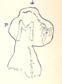 Diagram of a cross on Dartmoor from an album by J H Boddy