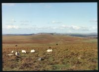 29/66 Near Hen Tor Brook North to Sheepstor Sharp, Lether, Gutter and Great Mis Tor 19/10/1991