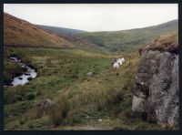 An image from the Dartmoor Trust Archive