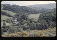 West Dart at Dartmeet