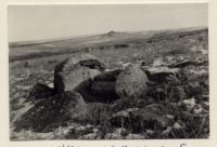 kist at Southern end of Willings Walls Warren