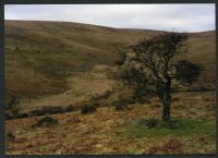 22/7 Middle Brook from Zeal Hill 31/1/1994