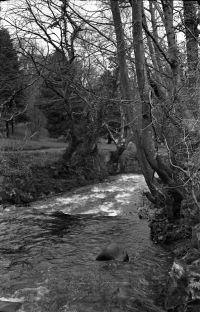 NEGATIVE OF   EAST OKEMENT RIVER,  . by R. HANSFORD WORTH