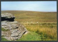 An image from the Dartmoor Trust Archive