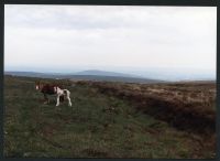 7/30 Zeal Tor tramway to Breat Hill 22/5/1991