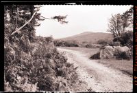 Down Tor from Roundy Lane