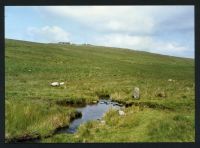 An image from the Dartmoor Trust Archive