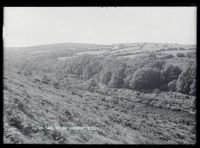 The Dart below Dartmeet, Lydford