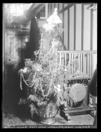 Christmas tree 1934 at Oakley