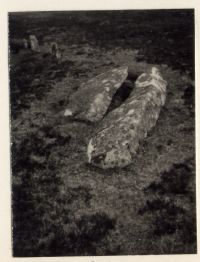 Recumbent menhir at Shuggledown