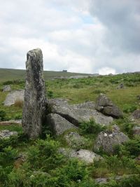 An image from the Dartmoor Trust Archive