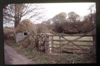 Ash House at West Combe