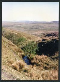 An image from the Dartmoor Trust Archive