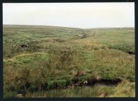 5/43 Confluence Dart and Cut Hill stream 30/7/1991